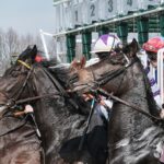 How to Bet on Horse Racing