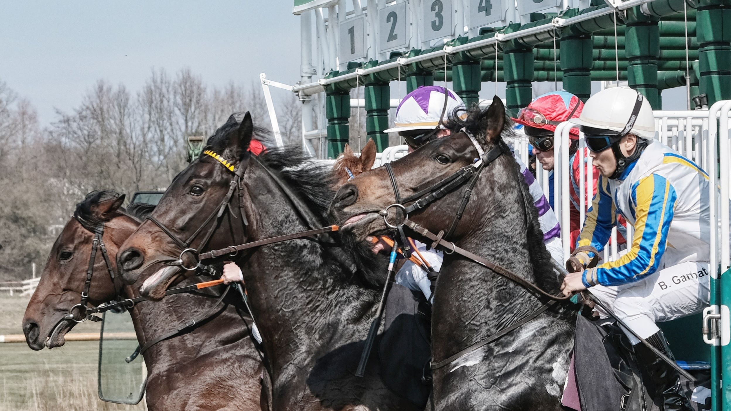 How to Bet on Horse Racing